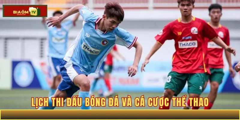 Lịch thi đấu bóng đá và cá cược thể thao