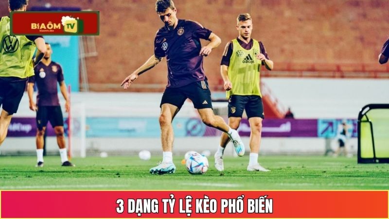 3 dạng tỷ lệ kèo phổ biến