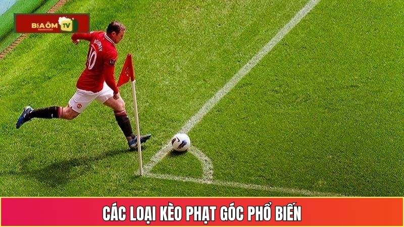 Các loại kèo phạt góc phổ biến