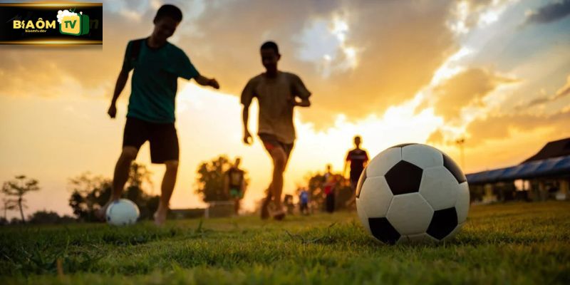 Giao diện tối ưu và trực quan