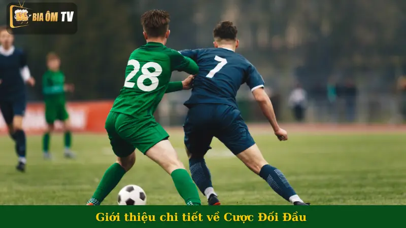 Giới thiệu chi tiết về Cược Đối Đầu 